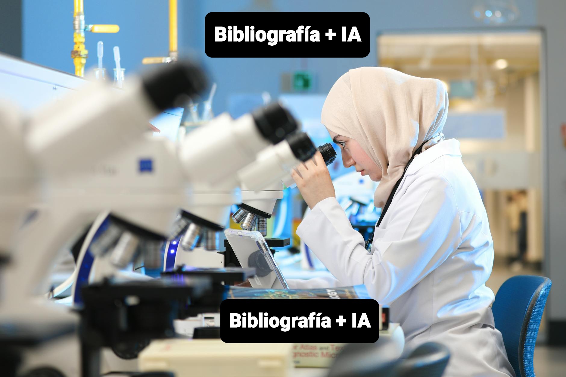 Bibliografía + IA